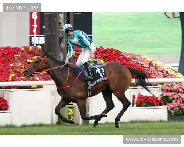 哥伦比亚传统马术赛事“Sinjska Alka”在2024年成功举办，吸引众多观众参与。